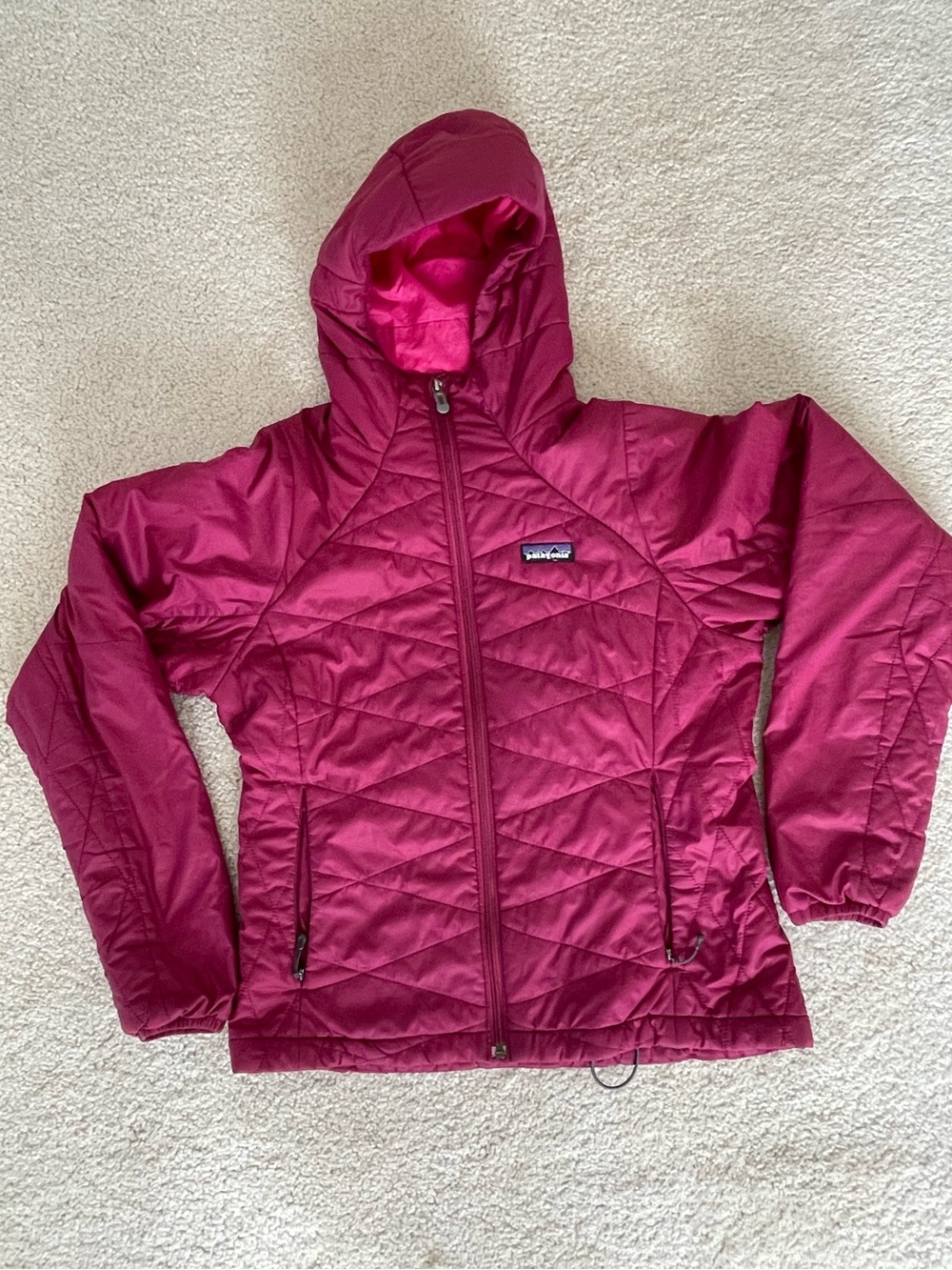Patagonia Micro Puff Hooded Jacket
